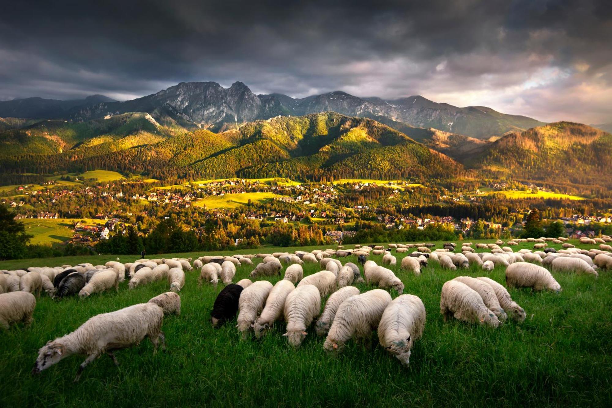 GORSKA OSADA Luxury Chalets Zakopane Poronin Kültér fotó